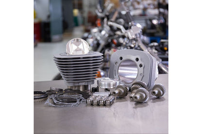 Hooligan Kit 1250cc Silver Sportster XL1200