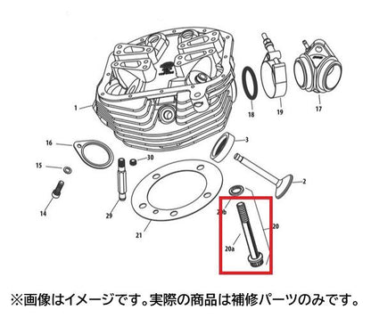 20a. Head Bolt Big Twin (48-84) Harley