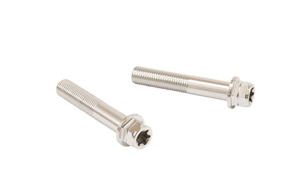Stainless Caliper Mount Bolt, Flange Hex, Polished, 55mm, 2 pcs.