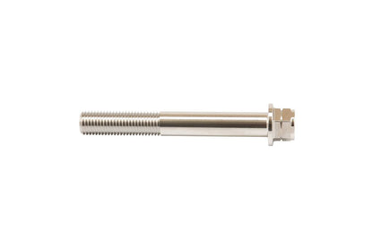 Stainless Caliper Mount Bolt, Flange Hex, Polished, 55mm, 2 pcs.