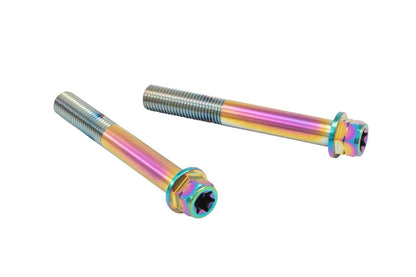 Stainless Caliper Mount Bolt, Flange Hex, Titanium Color, 85mm, 2 pcs.