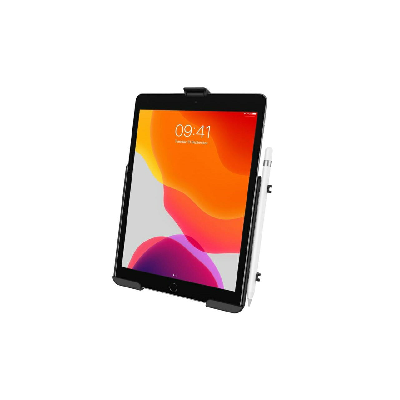 Holder for iPad (7th-9th Generation) - Ball Not Included, Black, 1 pc.