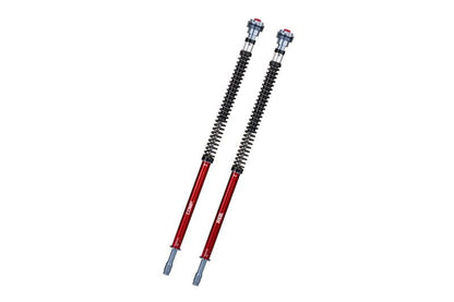Ninja 250 (EX250P/EX250Y) / Ninja 400 (EX400G/EX400L) Open Cartridge Set