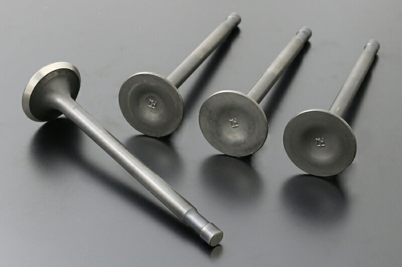 STD Exhaust Valve CB750K