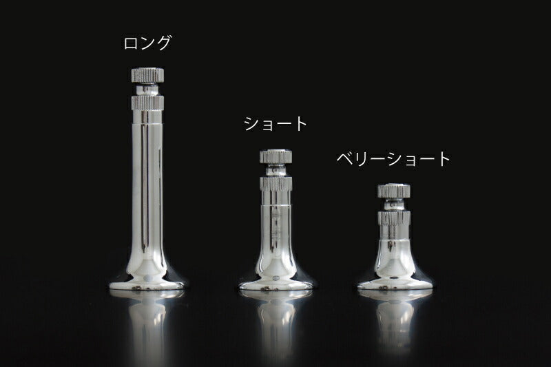 NEW Z2タイプ ウインカーステー ショート フラットタイプ 2本入