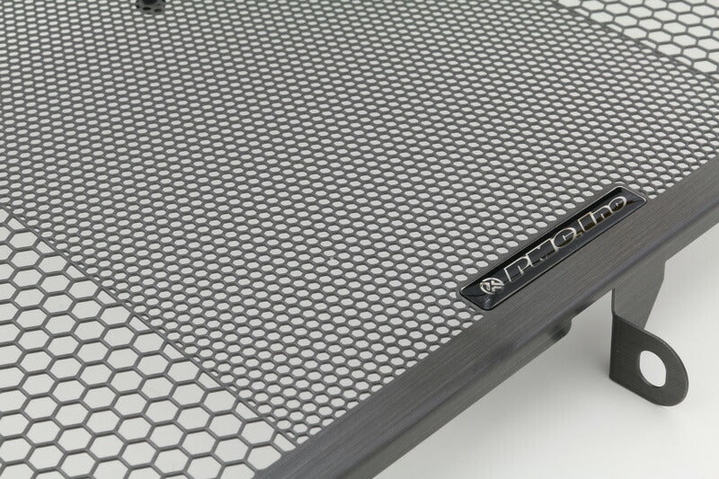 Hex Core Protector Radiator Core Guard Z900RS/Z900RS CAFE '18-'20