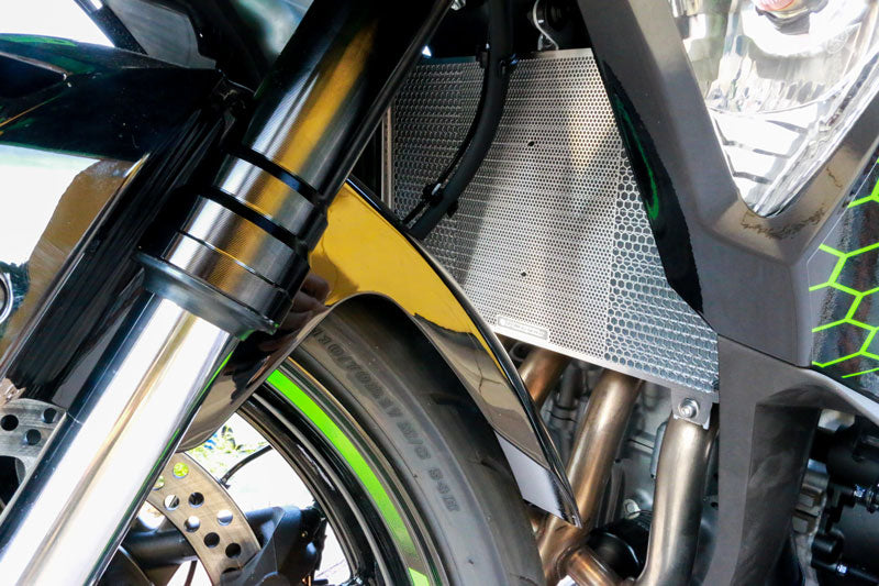 Hex Core Protector Silver ZX-25R Radiator Cover Core Guard