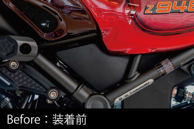 カーボン ABS(アンチロックブレーキシステム)カバー Z900RS/CAFE