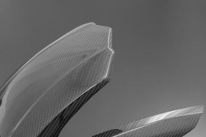 カーボンリアフェンダー Z900RS