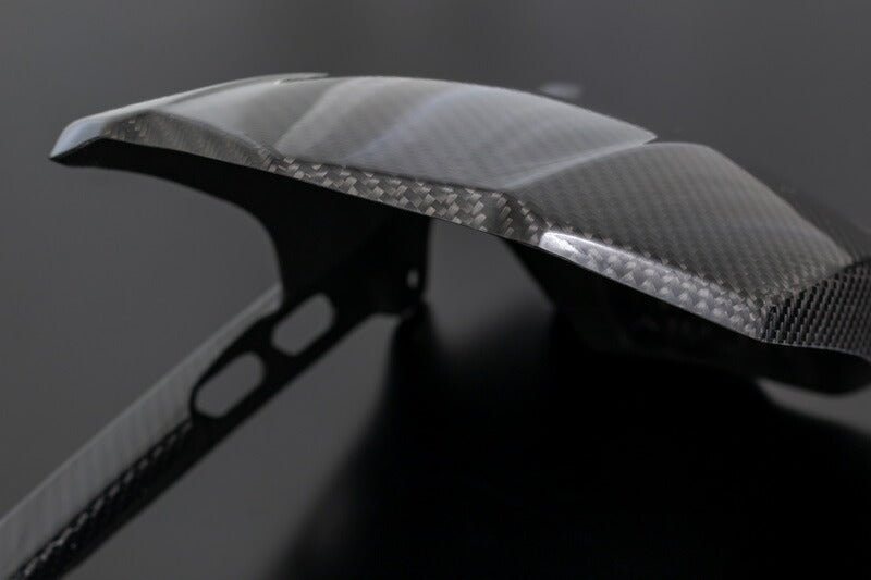 カーボンリアフェンダー Z900RS