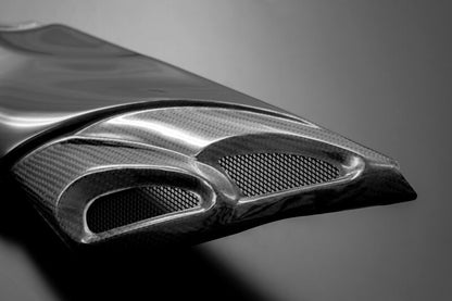 ダブルバブルインテークサイドカバーセット D.B.I 未塗装 Z900RS/CAFÉ