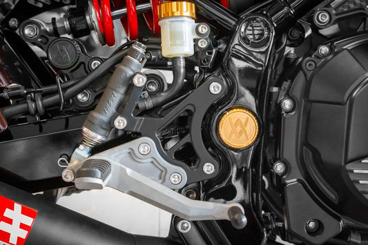 Classical Rear Sets Z900RS 1 pc.