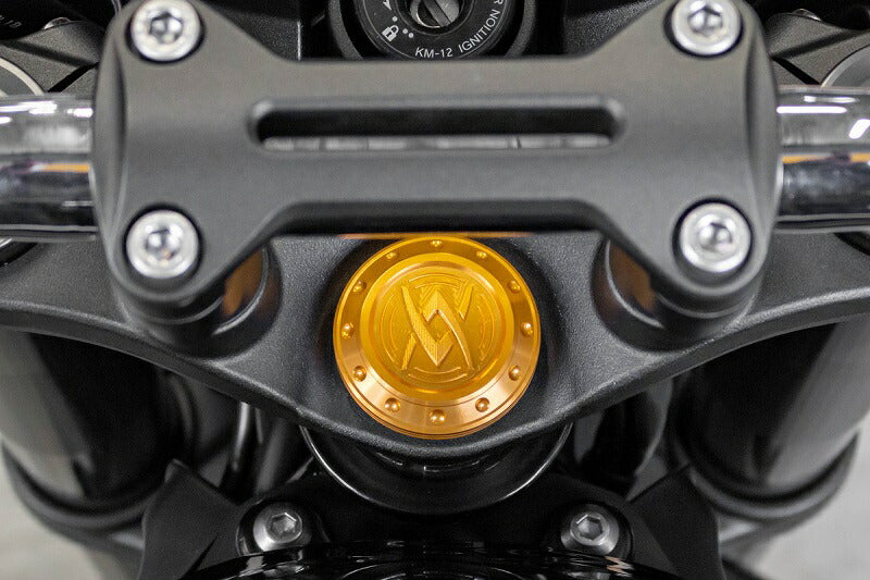 Stem Top Cap Cover Gold Z900RS