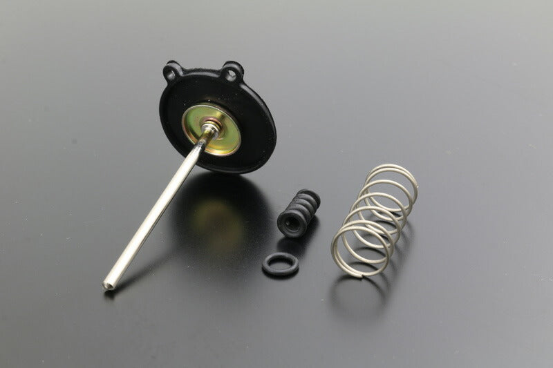 Accelerator Pump Diaphragm CB900F