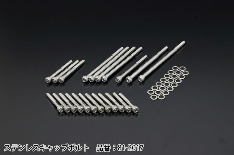 Z/KZ Engine Cover Bolt Set - Crankcase Bolts Stainless Steel Z750-1000