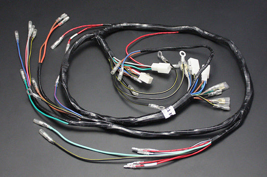 Main wire harness H1/H1A