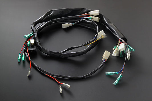 Wire harness Z750A4/A5 KZ900