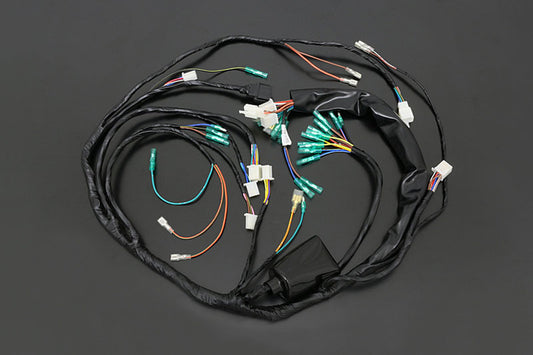 Wire Harness Z750D1