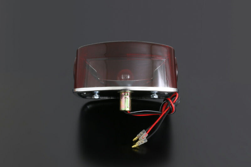 Taillight Assembly, Smoked, Z1R/Z400FX