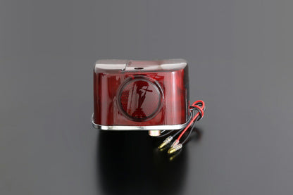 Taillight Assembly, Smoked, Z1R/Z400FX
