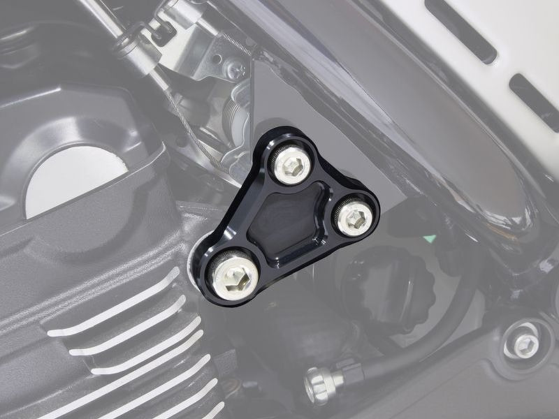 ヘッドエンジンハンガー ブラック Z900RS('2018～'2021)