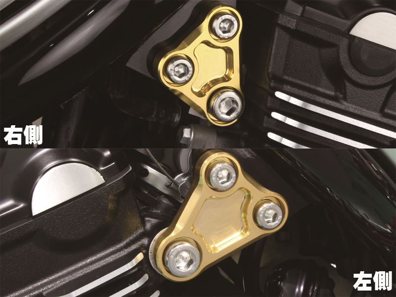 Head Engine Hanger Champagne Gold Z900RS/CAFE