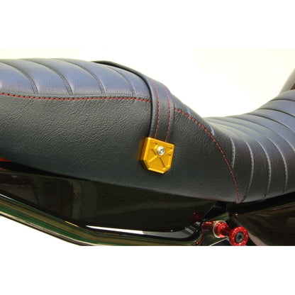 アルミマシンドタンデムベルトカバー ゴールド Z900RS/CAFE