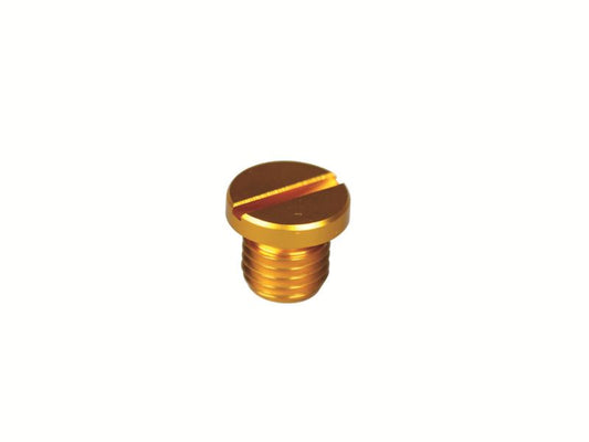 Aluminum-colored M10 Mirror Hole Cap (GOLD)