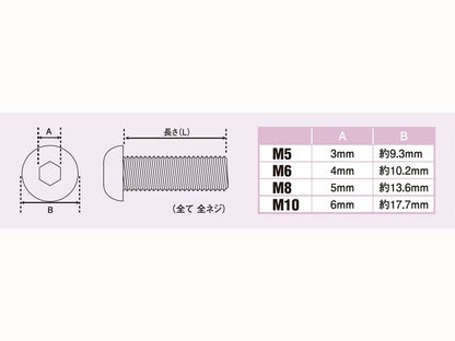 ボタンキャップボルト M8X50 ブラック 2pcs/Set