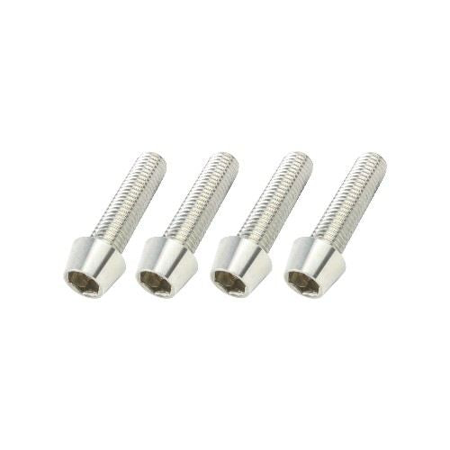 10mm Stainless Steel Tapered Cap Bolts P-1.5 M10x35mm, 4 pieces