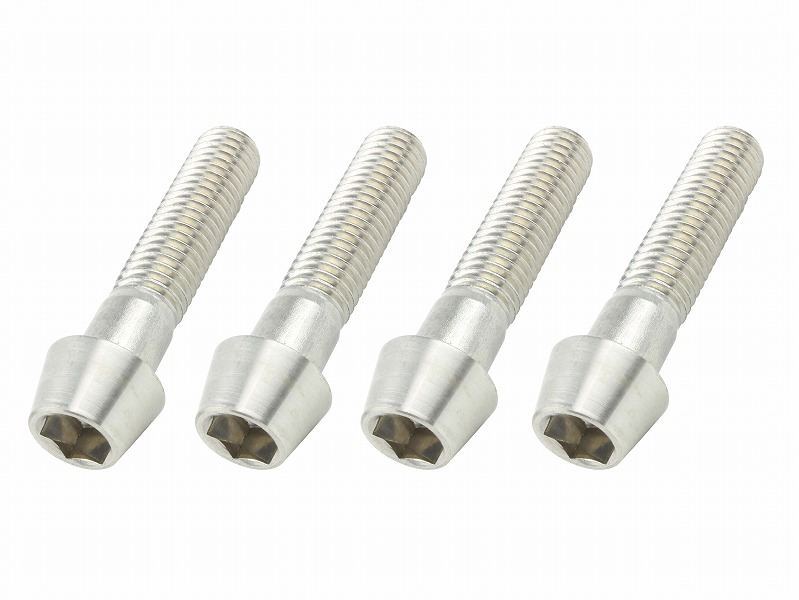 10mmステンレステーパーキャップボルト P-1.5 M10X45mm 4本入り
