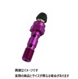 EARL'S エアーフリーバンジョーボルト P-1.0 ダブル ブルーベリー