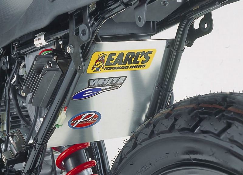 Mudguard, Silver FTR223/CB223S