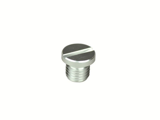 Aluminum Colored M10 Mirror Hole Cap (SILVER)