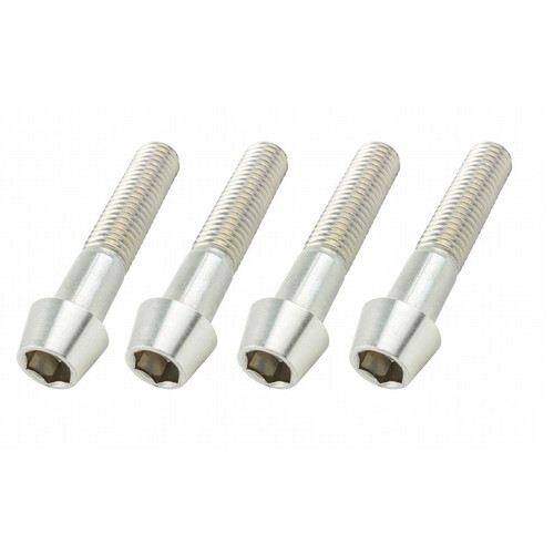 10mmステンレステーパーキャップボルト P-1.5 M10X50mm 4本入り