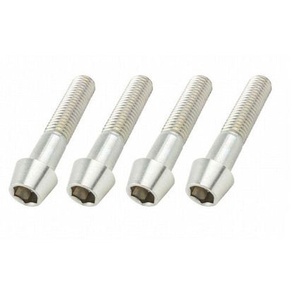 10mmステンレステーパーキャップボルト P-1.5 M10X50mm 4本入り