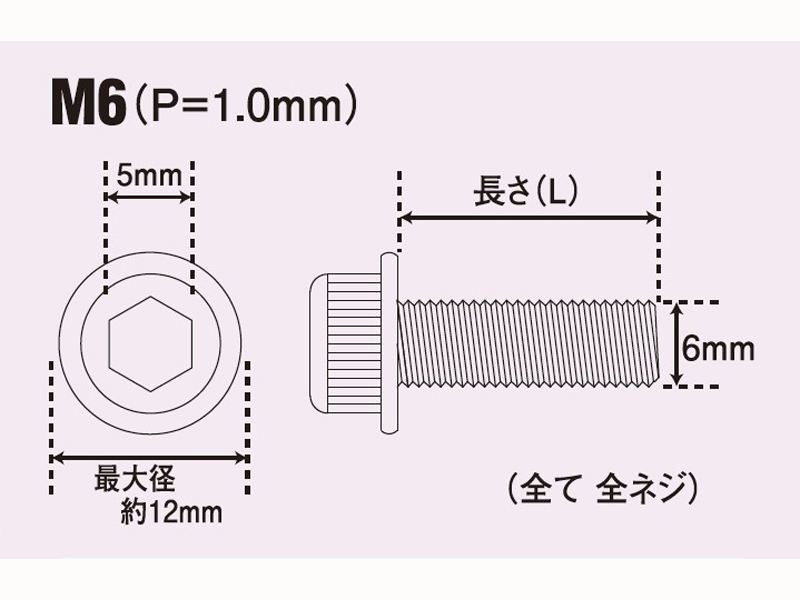 フランジキャップボルト セット M6X15 (2pcs/Set)
