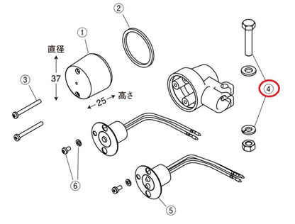 ウインカーホンタイホシュウヨウボルトM6X30(2pcs)ステンレス