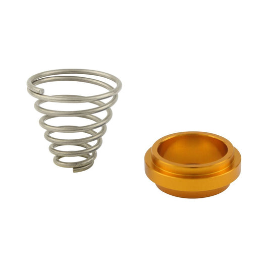 リアマスターリターンスプリング＆スペーサー ゴールド