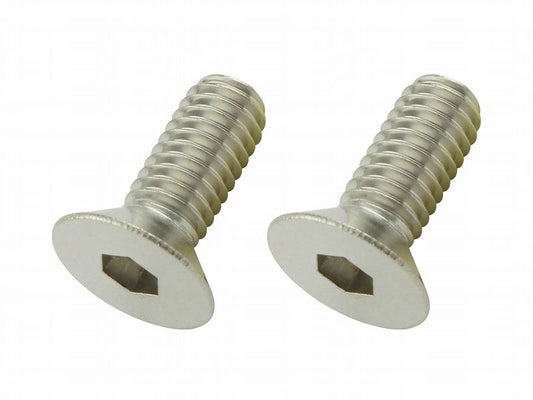 皿キャップボルト ステンレス M6×15mm 2個入り