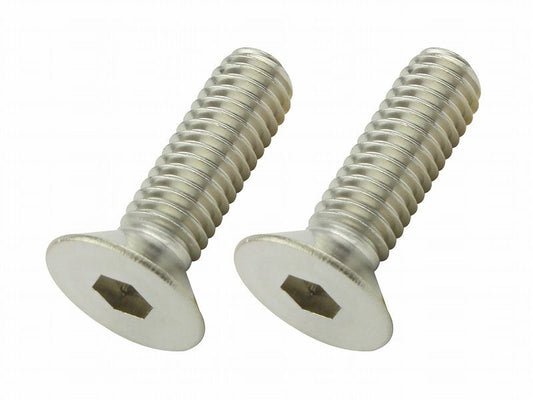 皿キャップボルト ステンレス M6×20mm 2個入り