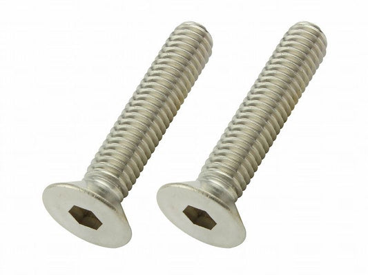 皿キャップボルト ステンレス M6×30mm 2個入り