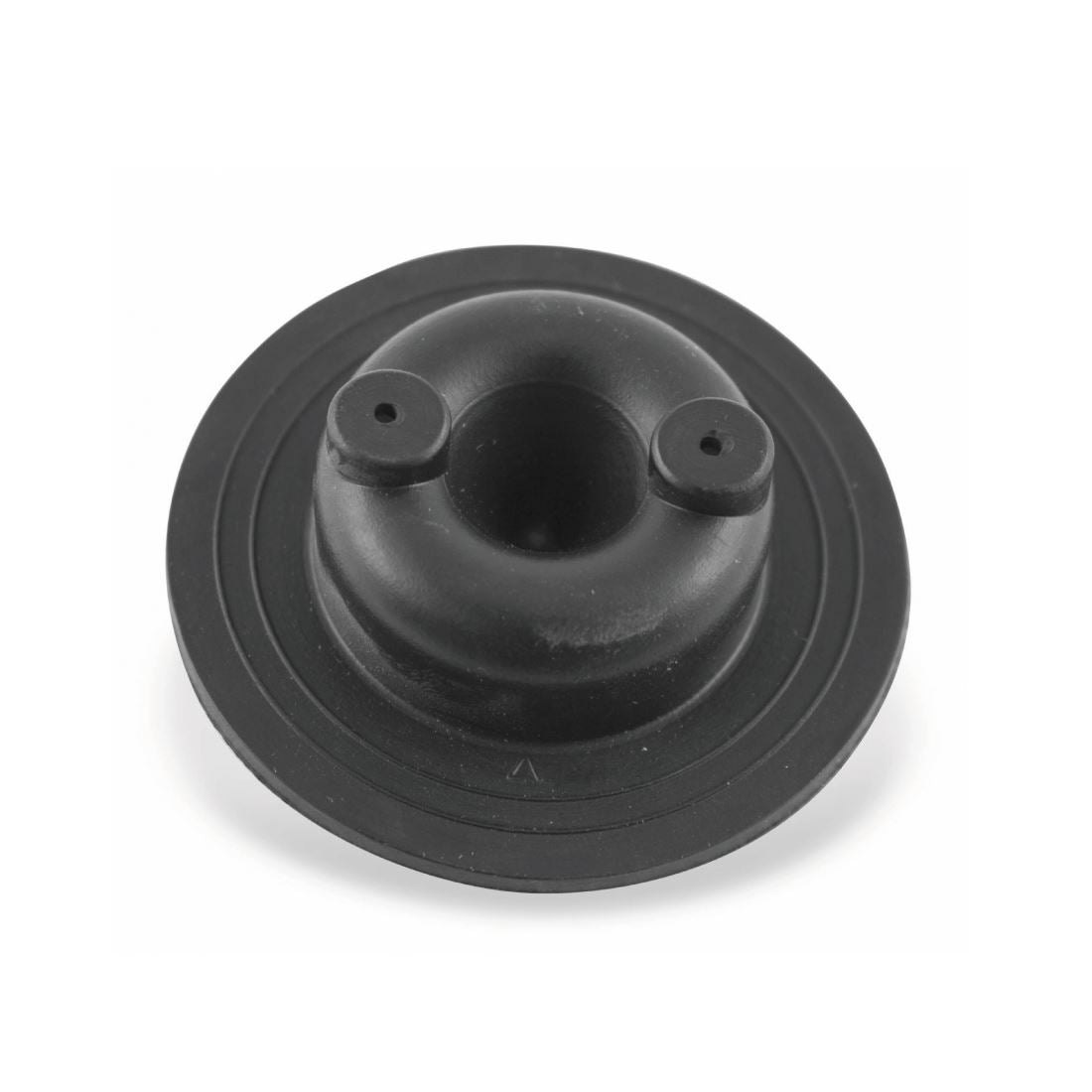 Tank cap gasket