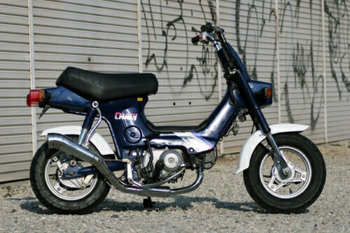 シャリー マフラー スティーズ シャリー