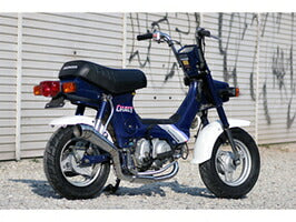 シャリー マフラー スティーズ シャリー