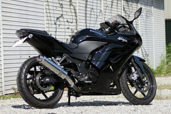 Ninja Nnja 250 R 08- EX250K Muffler ARIA Stainless Type S Slash End Ninja
