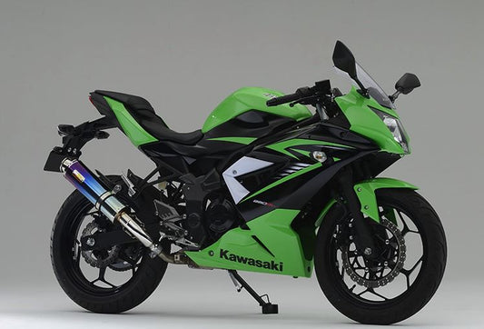 ARIA アリア チタン マフラー タイプC(カールエンド) Ninja250SL BX250A