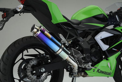 ARIA Aria Titanium Muffler Type C (Curl End) Ninja250SL BX250A