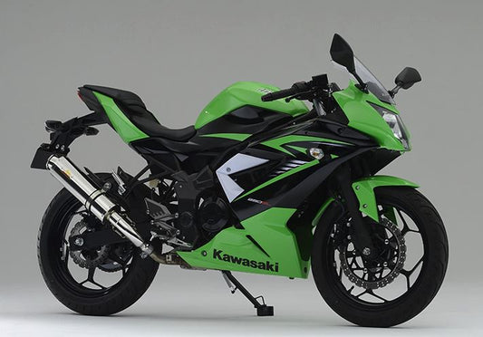 ARIA アリア ステンレス マフラー タイプC(カールエンド) Ninja250SL BX250A