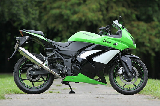 ニンジャ250 マフラー 80D-RAPTOR ニンジャ NINJA250R JBK-EX250K